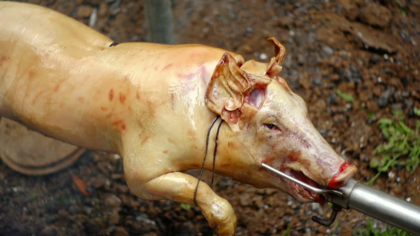 SUPER 35MM CAMERA - Tasty pig on a spit. 