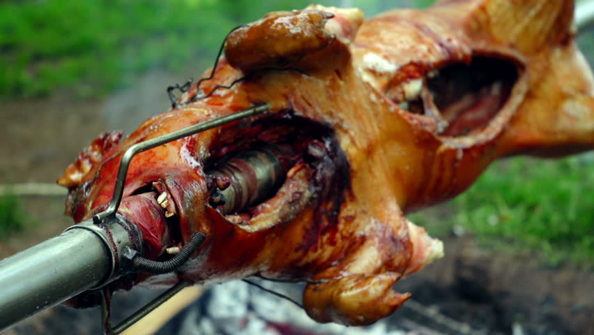 SUPER 35MM CAMERA - Tasty pig on a spit. 