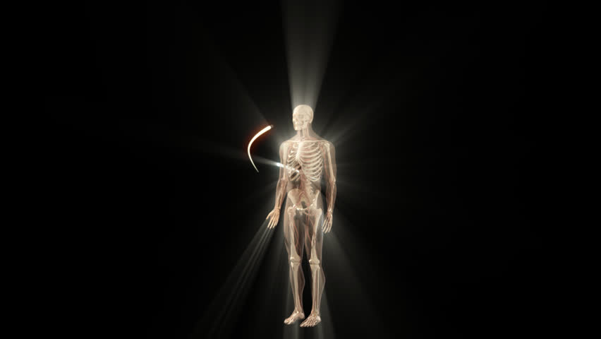 3D video involving half a clockwise rotation of human man anatomical model with yellow glow showing full body skeleton, nerves and increasing number of coloured lines moving against black background
