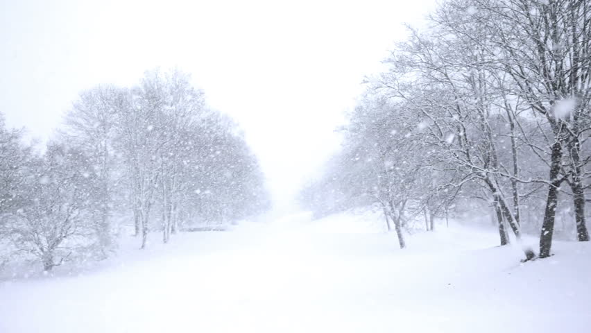Falling snow in a winter park with snow covered trees, slow motion, filmed at 60p