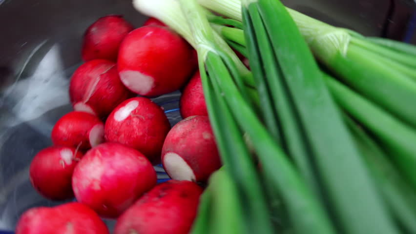 Radish and spring onion