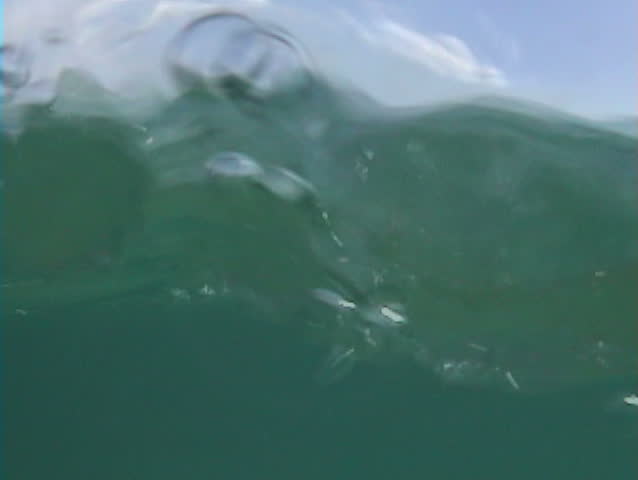 Close Up underwater surfing shot.