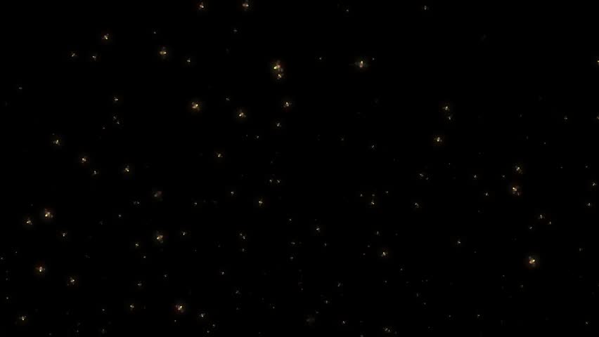 Fireflies flying animation
