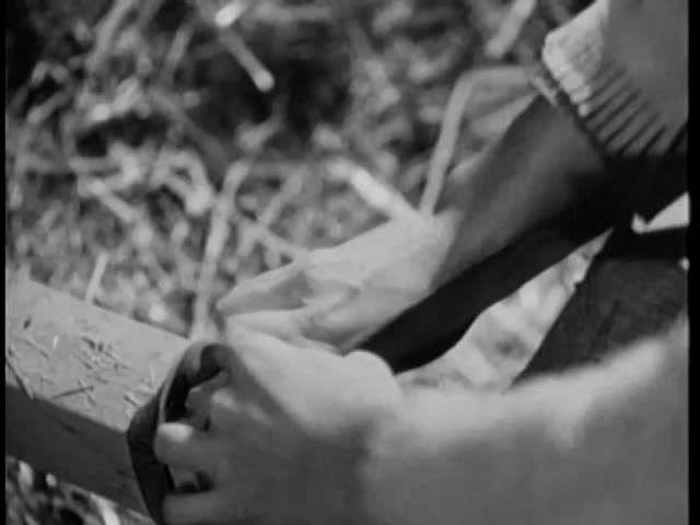 Woman untying reins discovers blood on her hand