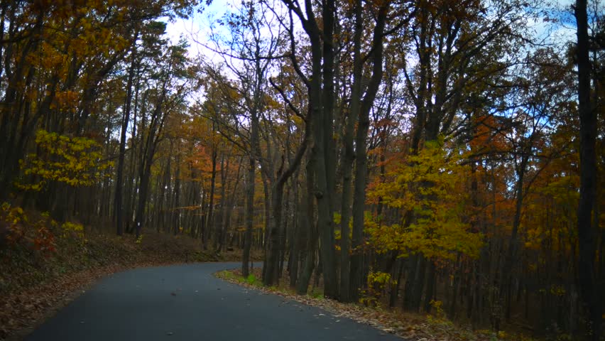 Time lapse of a drive through a hilly twisty road during glorious fall in rural Pennsylvania. 