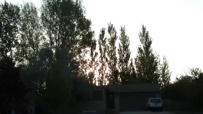 Time-lapse of sunrise behind tall trees in neighborhood that ascends diagonally until nearly eclipsing treetops at end.
