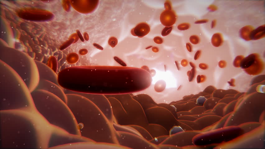 The World Inside (Medical Animation)