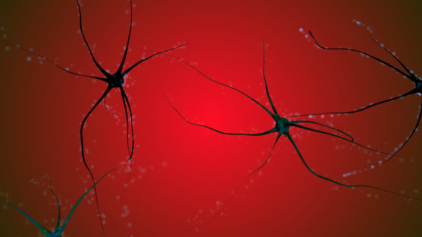 Nerve cells