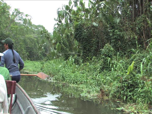 Canoeing the Amazon rivers