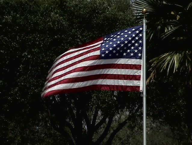 Video of the US Flags at Ft Sam Houston Veterans Cemetery. Down road under tree branches.