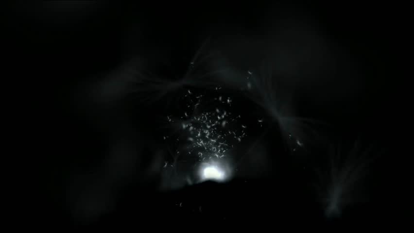 power explosion with rays light,flying dandelion & catkins.