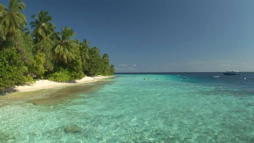 tropical beach