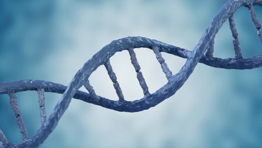 3D Animation of a DNA. Seamless looping HD Video Clip