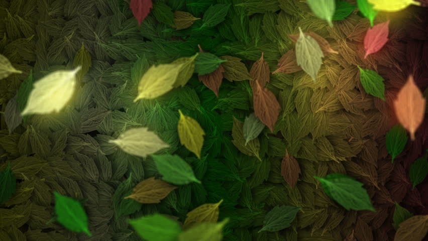 animated winding leaves transition with isolate masking channel
