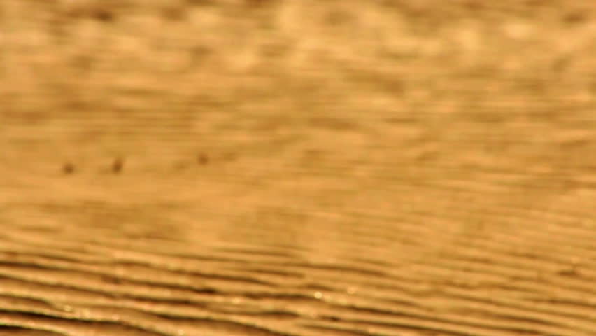 Golden sand dunes macro