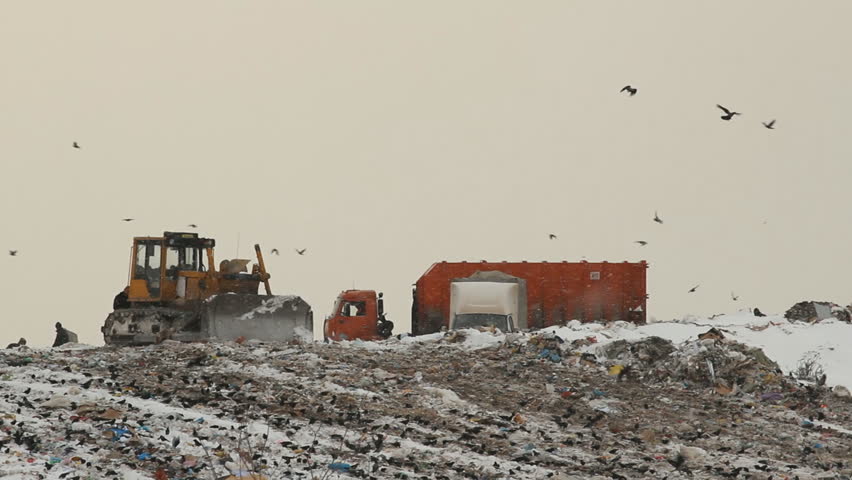 Garbage dump (landfill) 