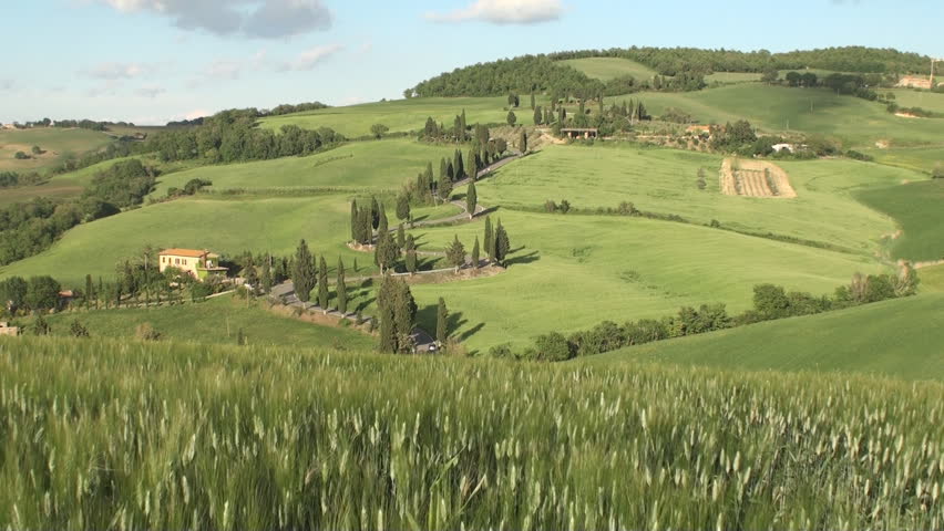 Winding cypress road near Monticchiello in Tuscany, Italy