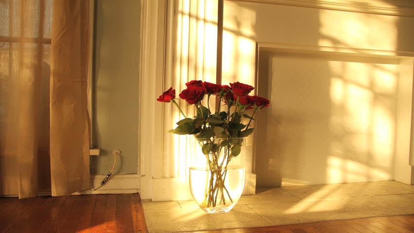 Amazing Golden Sunrise Timelapse Over Dozen Romantic Red Roses in Vase. Light dances across the mantle of a fireplace from sunny window. Can be flipped for Sunset.