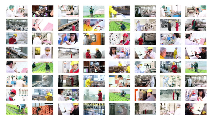 Working People. Teamwork. Business People. People at Work.
Working in Office. Industrial Workers. Team. 
Collage of video clips showing people of different professions at work. 