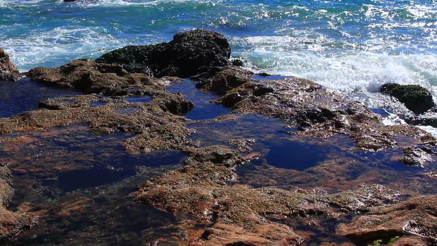 Malibu Ocean Wave 10 Tide Pool in Point Dume Pirates Cove Beach