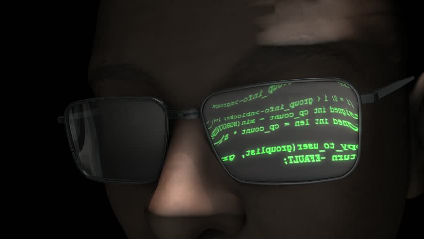 Programmer.