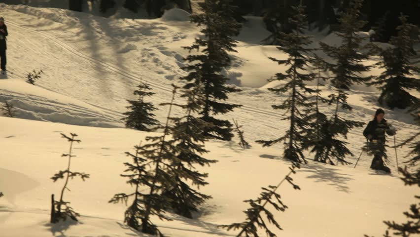 Mt. Washington B.C. Canada - Feb 10, 2013: Cross country skiers on Mount Washington. Mount Washington is a mountain on the eastern edge of the Vancouver Island Ranges of British Columbia and the site of the popular Mount Washington Alpine Resort. 