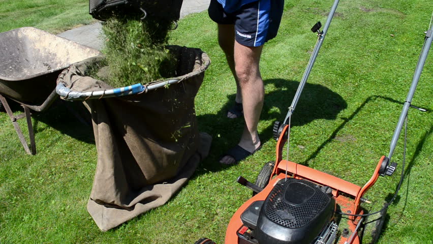 man cut mow lawn with cutter mower put grass into material bag on barrow.