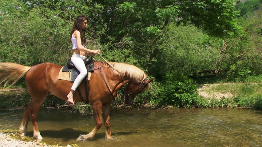 Brown stallion crossing a river.