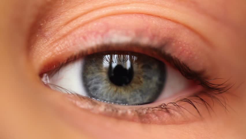 Left blue eye with reflection of house blinks, close-up