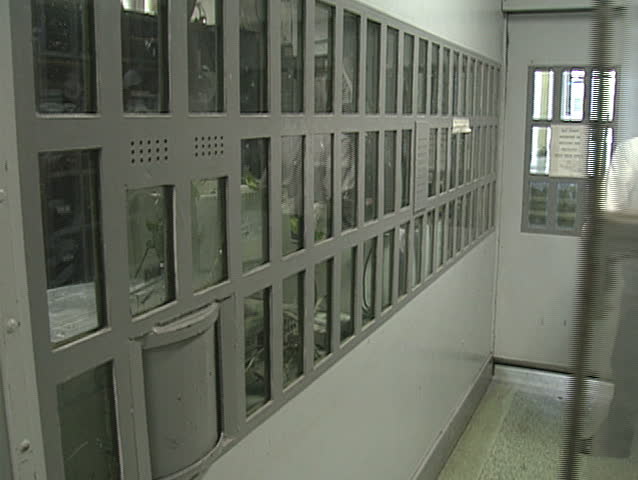 Prison gate. 