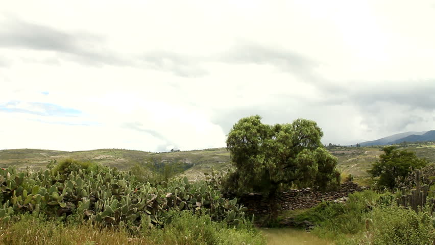 Countryside landscape and indigenous Wari wall in Peru
