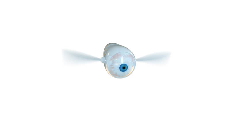 Unusual blue flying eye
