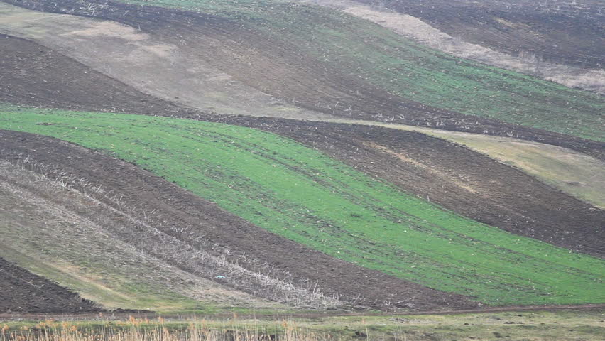 Peasant driving a wooden cart pulled by horse traveling to village on a countryside road near plowed crop fields on hills