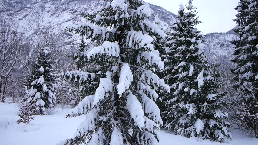 AERIAL: Nature in winter