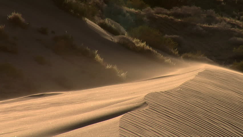 ripples of sand flow on top of sand dune
