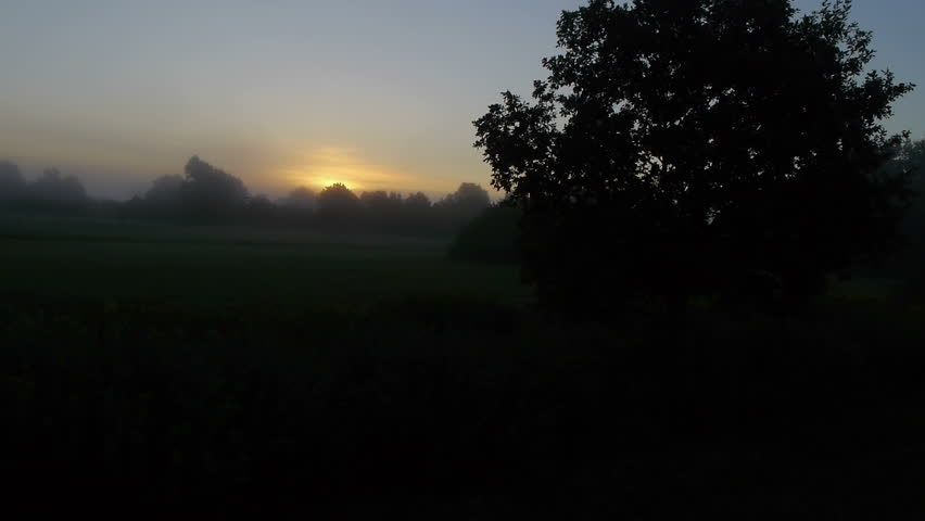 Rising up over a morning mist