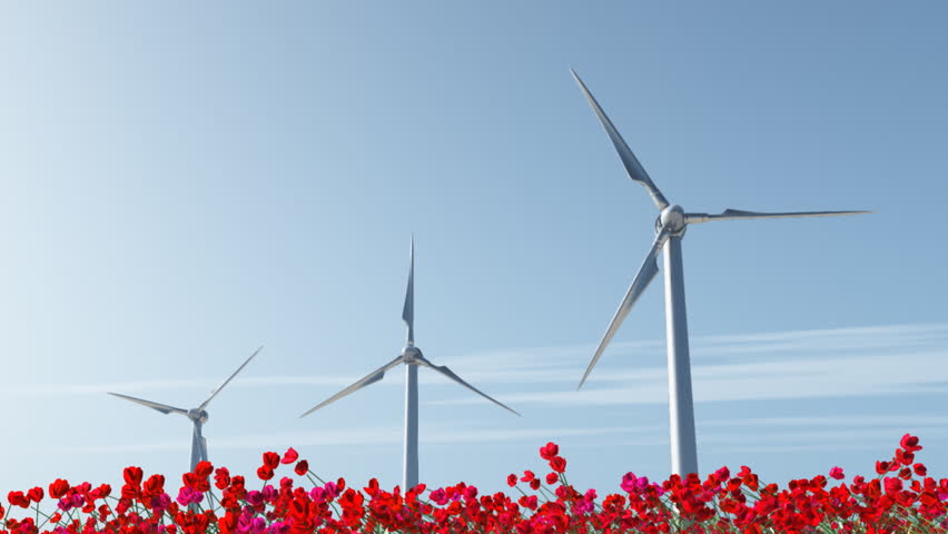 wind turbine on red poppy field 
