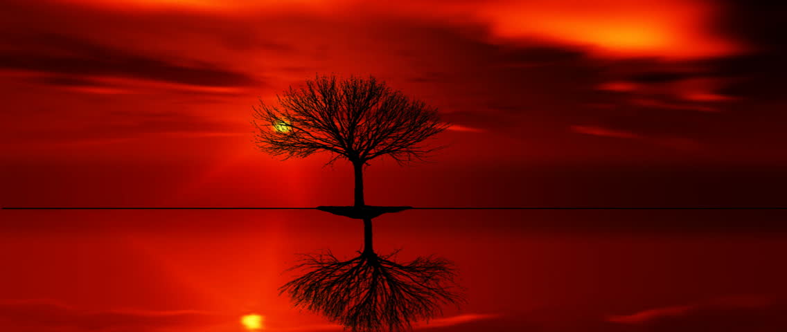 evening clouds time time lapse of tree on island