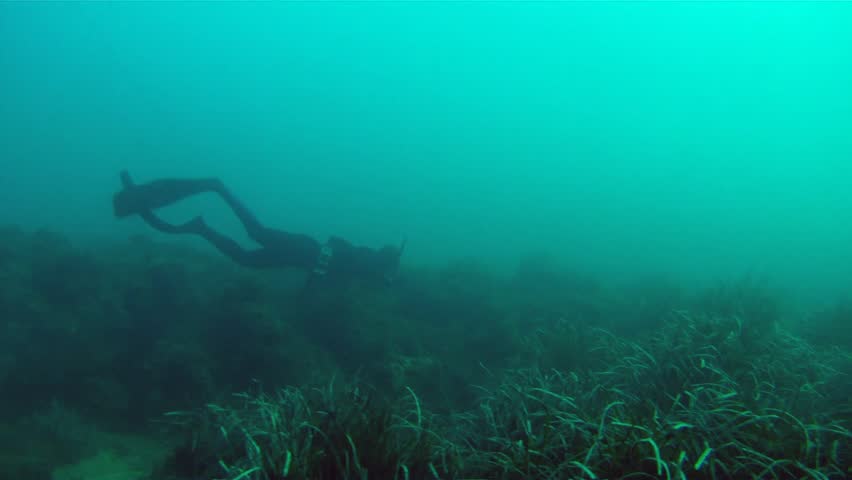 Man swimming and spear fishing in the mediterrain sea.
