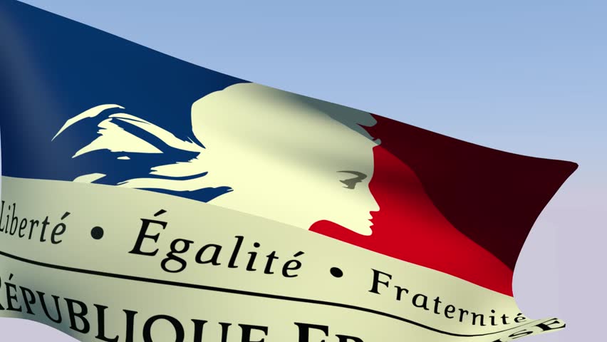 Flag of France Government
