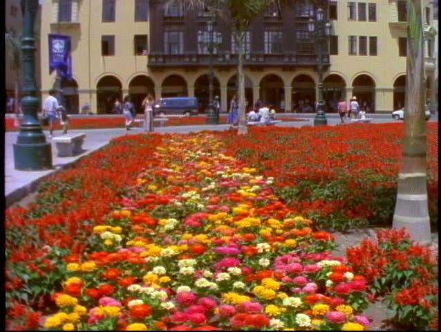 Lima, Peru, Plaza del Armas, bed of flowers, tilt up