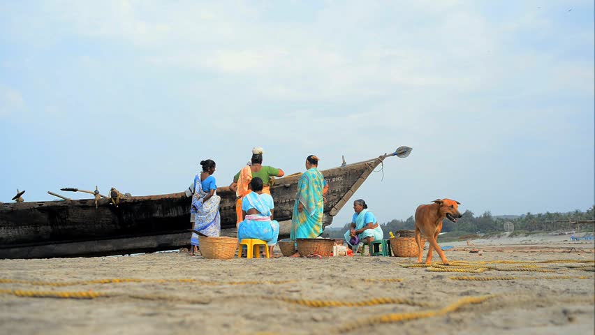 MORJIM, GOA, INDIA - MARCH 11: Indian women sorted fresh caught fish for sale on a beach near fisher boat, Morjim, March 11, 2013 in Goa India. This activity will provide a income stream for people.