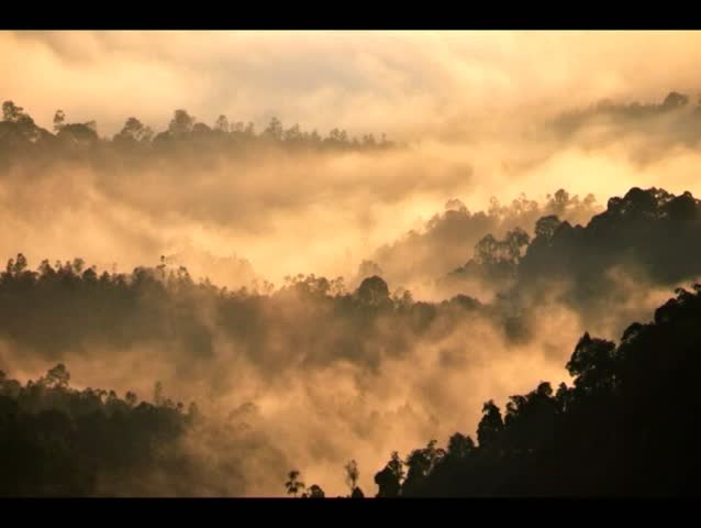 A beautiful time lapse over tropical forest