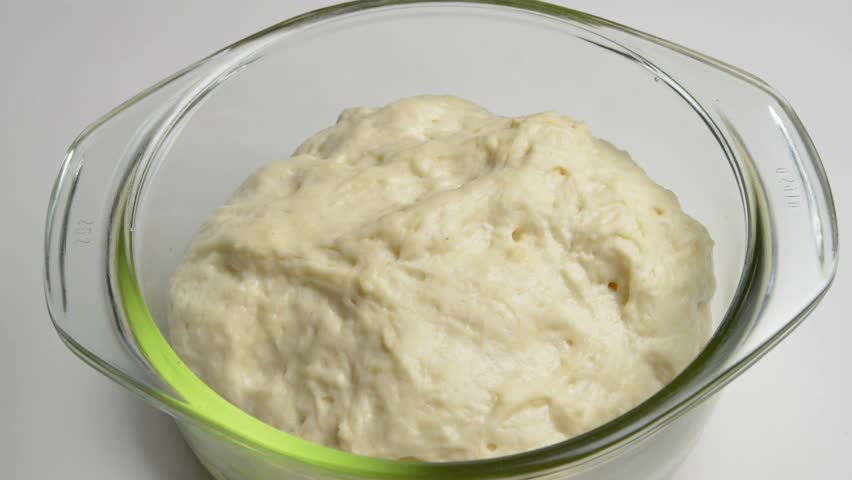 yeast dough fermentation time lapse