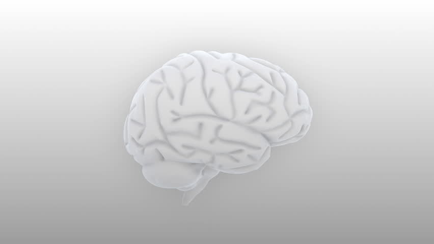 Brain images.