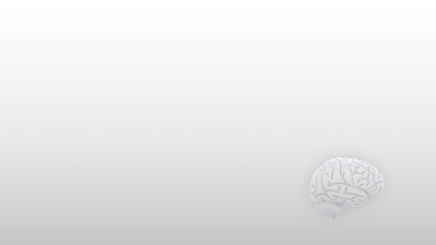 Brain images.