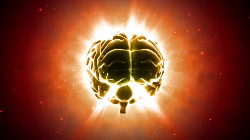 Brain images.