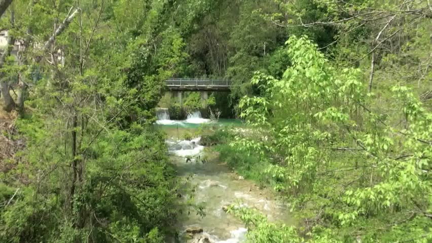 Forest mountain river with waterfall, Alps, Italy