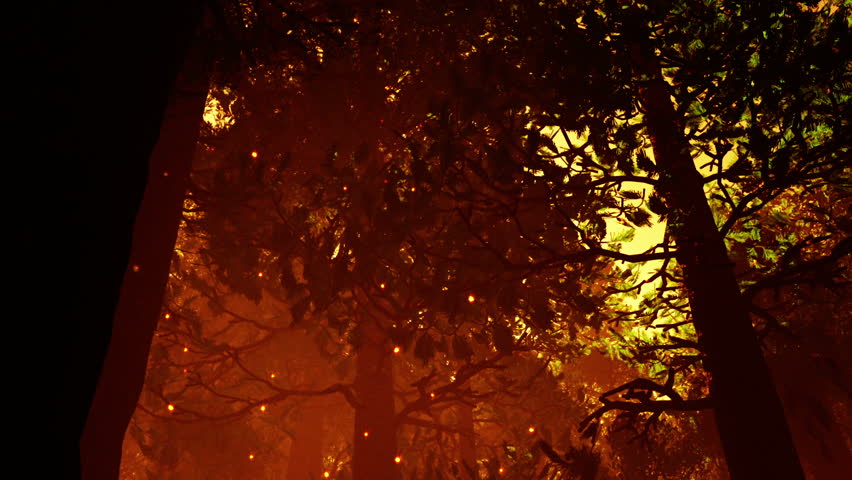 Deep Forest Fairy Tale Scene Fireflies 3D render