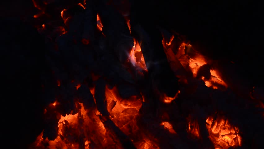 bonfire on the nature